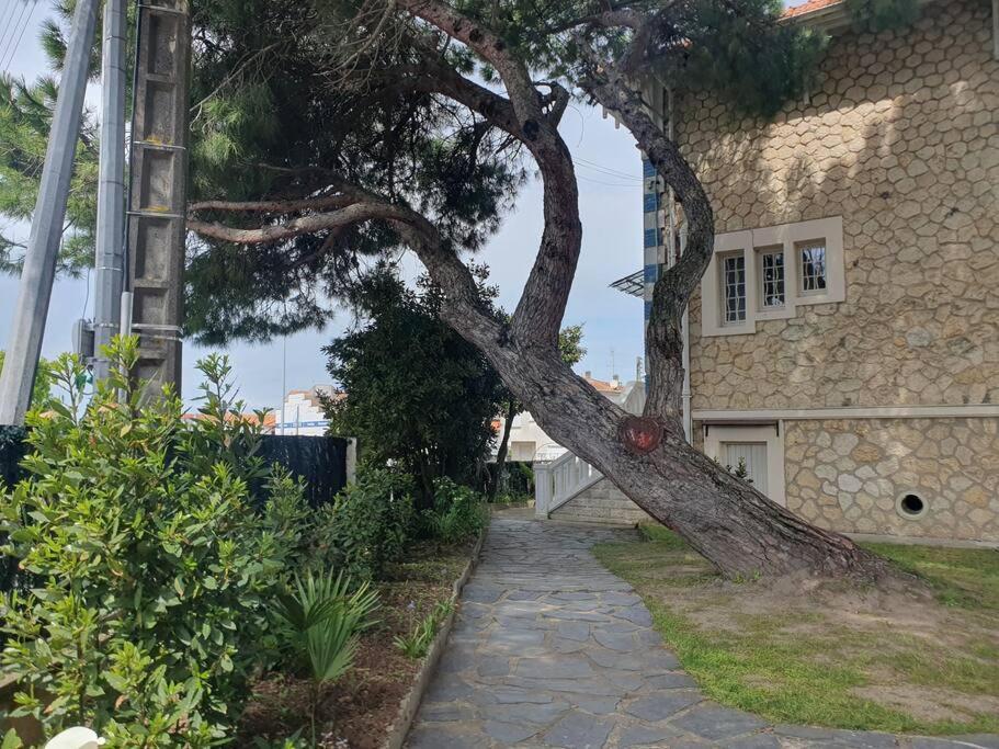 Royan - Villa La Cigale - 7 Chambres / 16 Couchages Εξωτερικό φωτογραφία